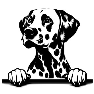 Samolepka pes Dalmatin