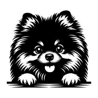 Samolepka pes Pomeranian (německý trpasličí špic)