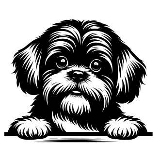 Samolepka pes Shih-tzu